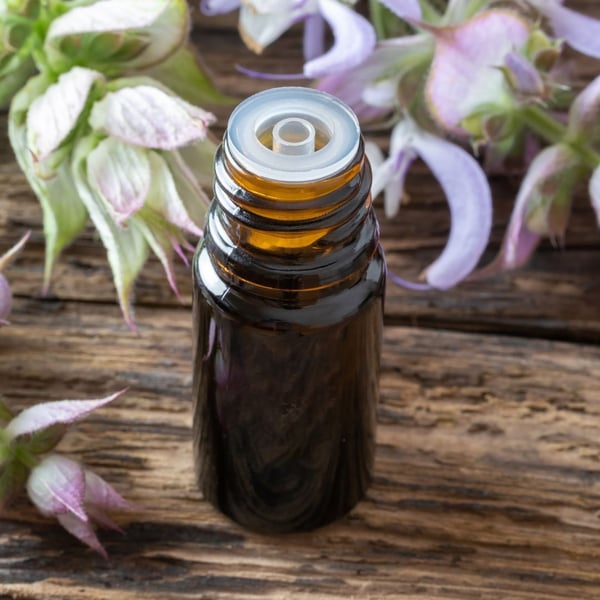 Clary Sage The Endocrine Enhancer